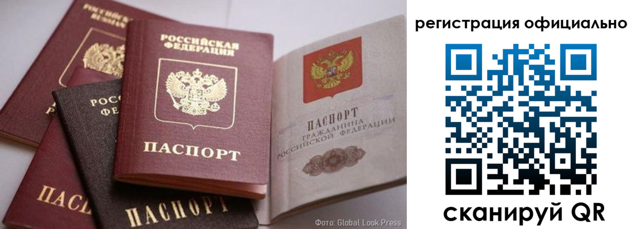 временная прописка в Ельне